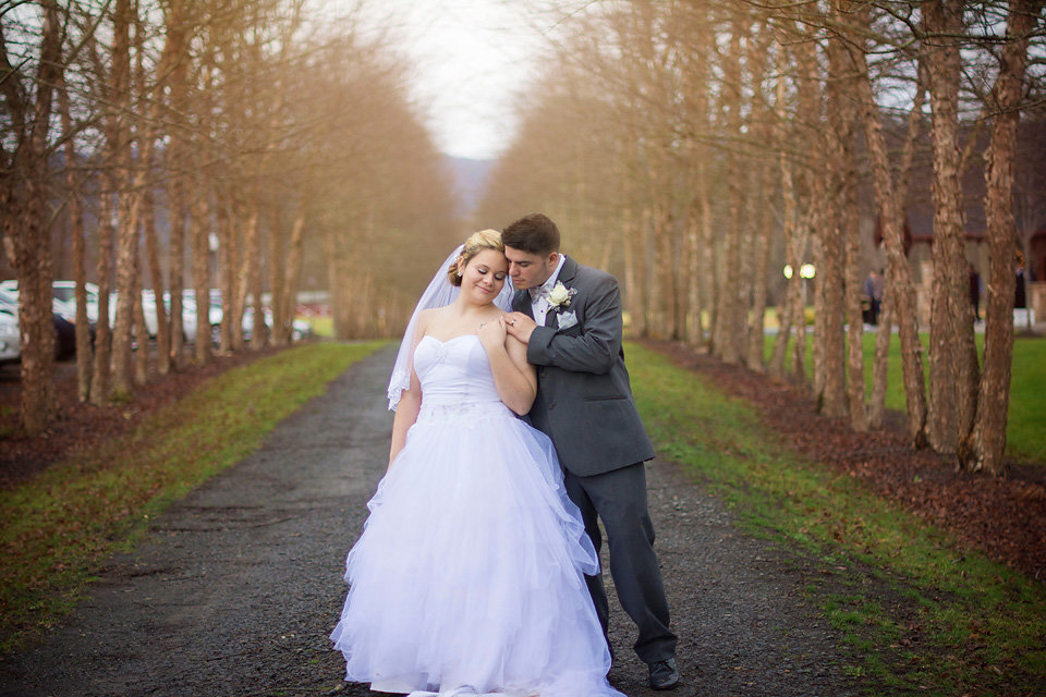 mcguires_millrace_farm_murphy_nc_wedding_photographer_row_of_trees
