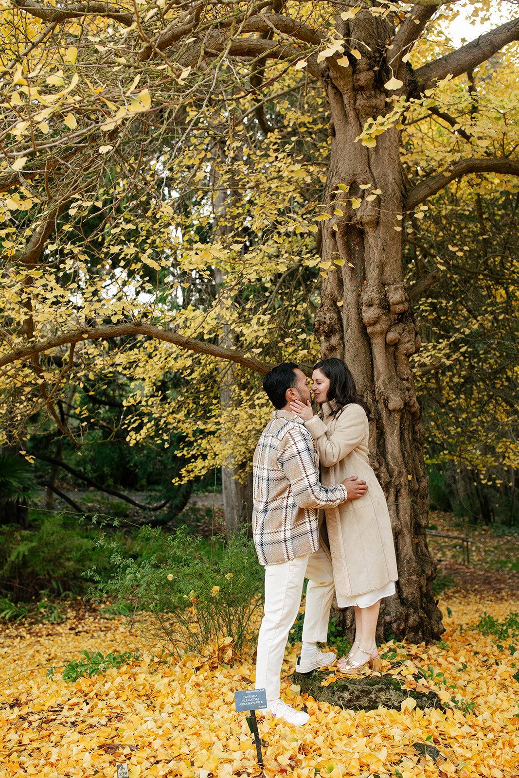 Lily_Roel_Engagement-8110