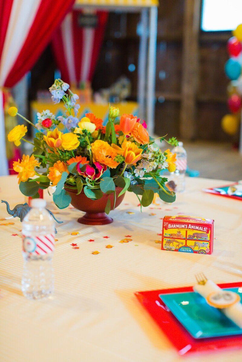 Circus Themed 1st Birthday Indianapolis Party Planner_0033