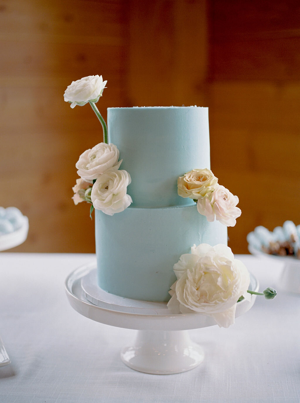 Light-Blue-Wedding-Cake-Lake-House-On-Canandaigua-Verve-Event-Co-Finger-Lakes-New-York-Wedding-Planner