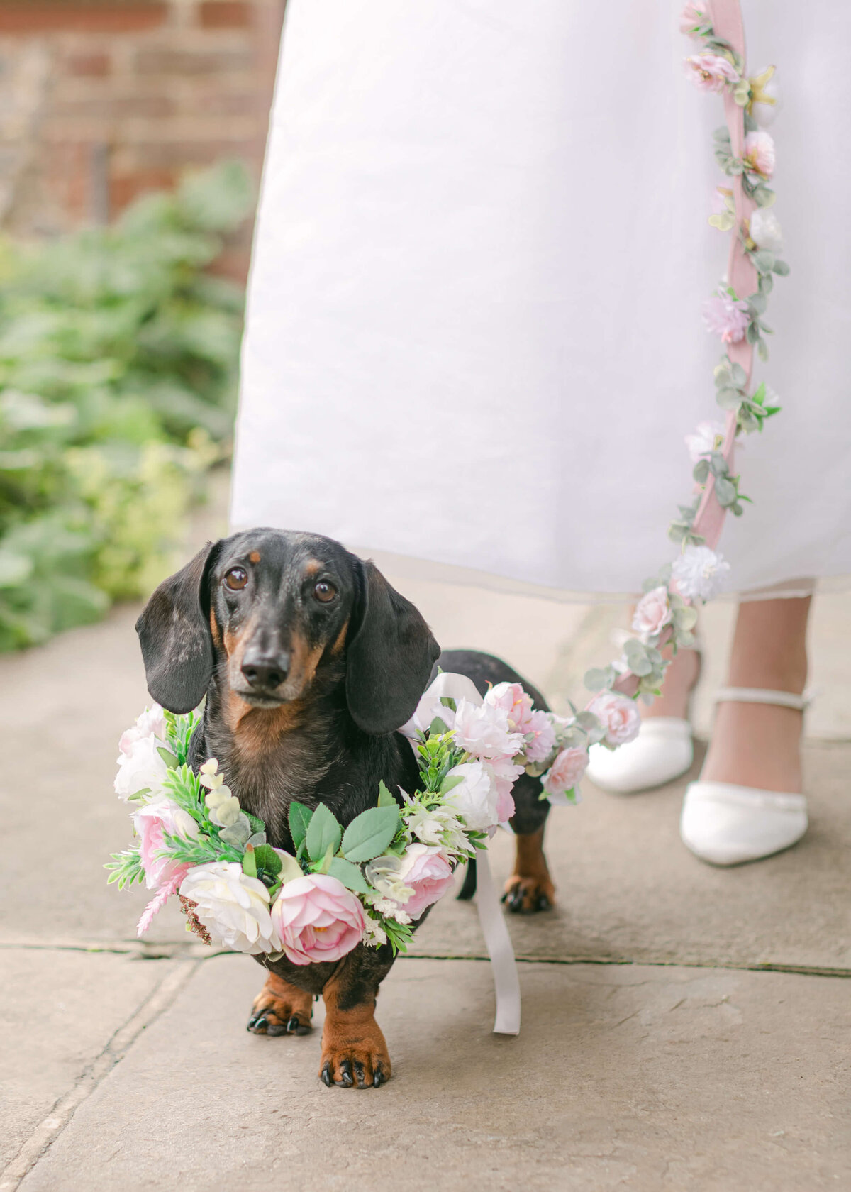 chloe-winstanley-weddings-dachshund-flower-garland