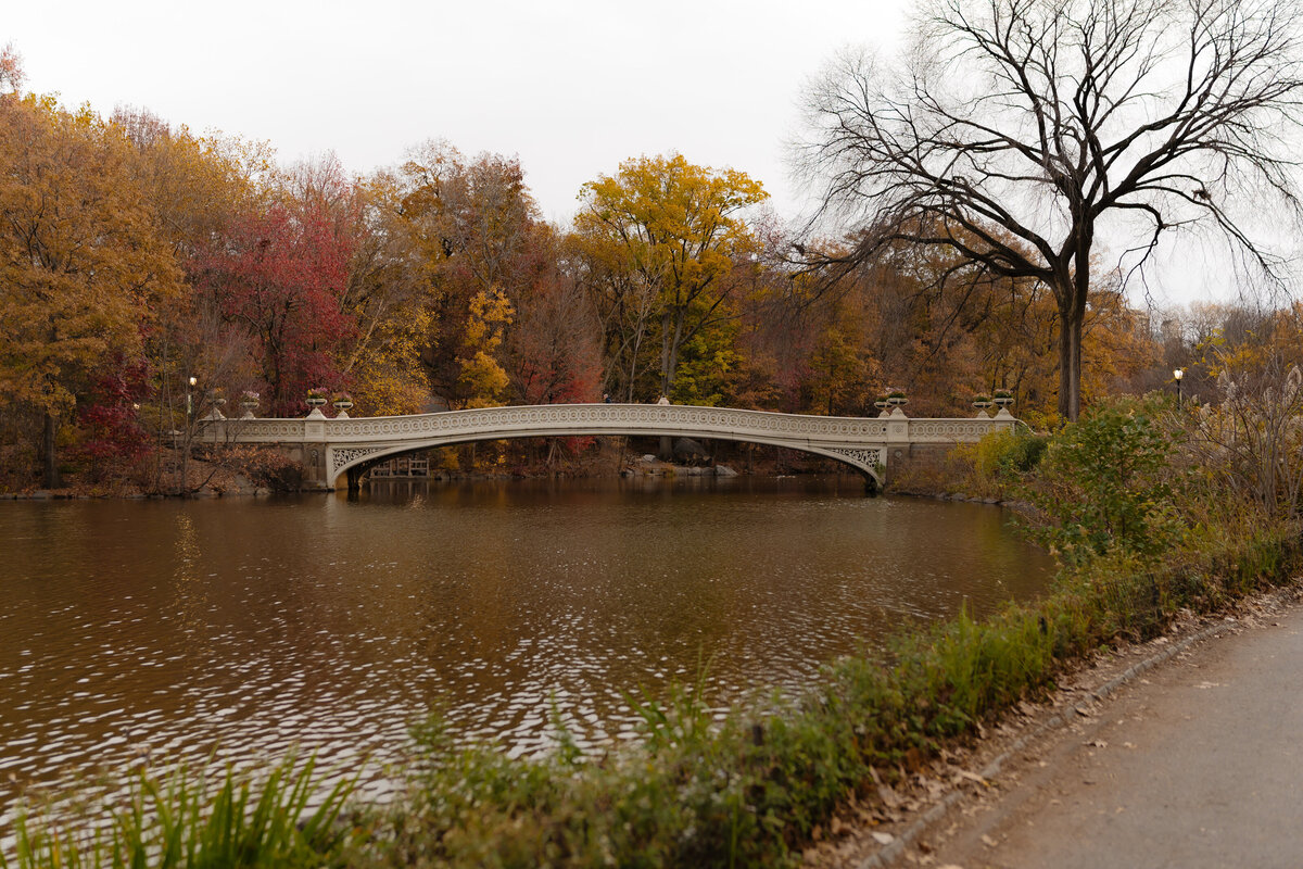 Central Park Engagement Photos 3