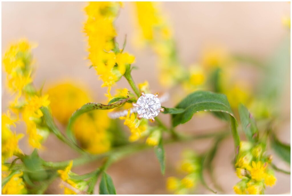macro engagement ring with yellow flowers