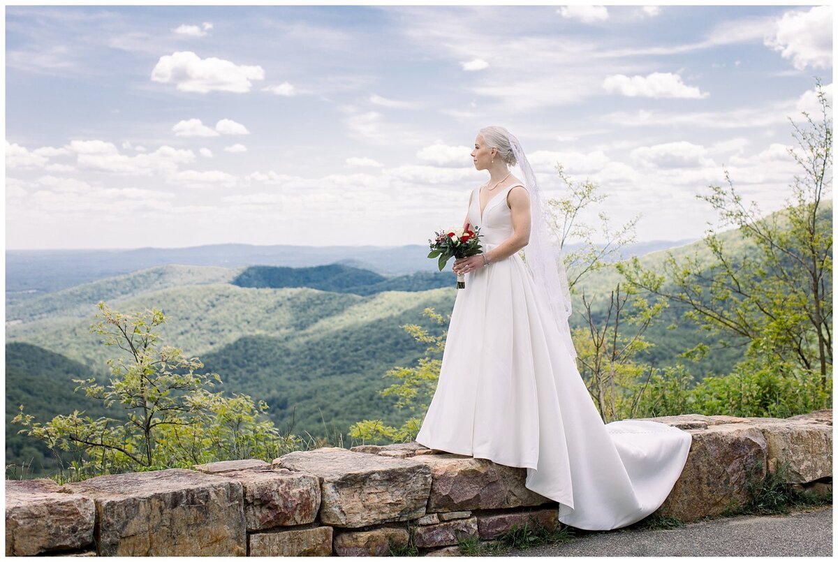 All Inclusive Wedding Virginia_0495