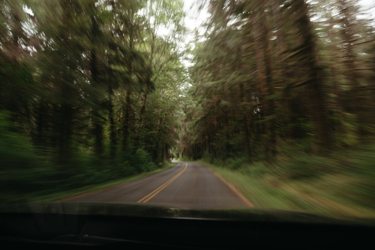 the_chaffins_international_destination_wedding_elopement_photographers_sammie_chaffin_micah_editorial_adventure_photos_travel_olympic_national_park_27