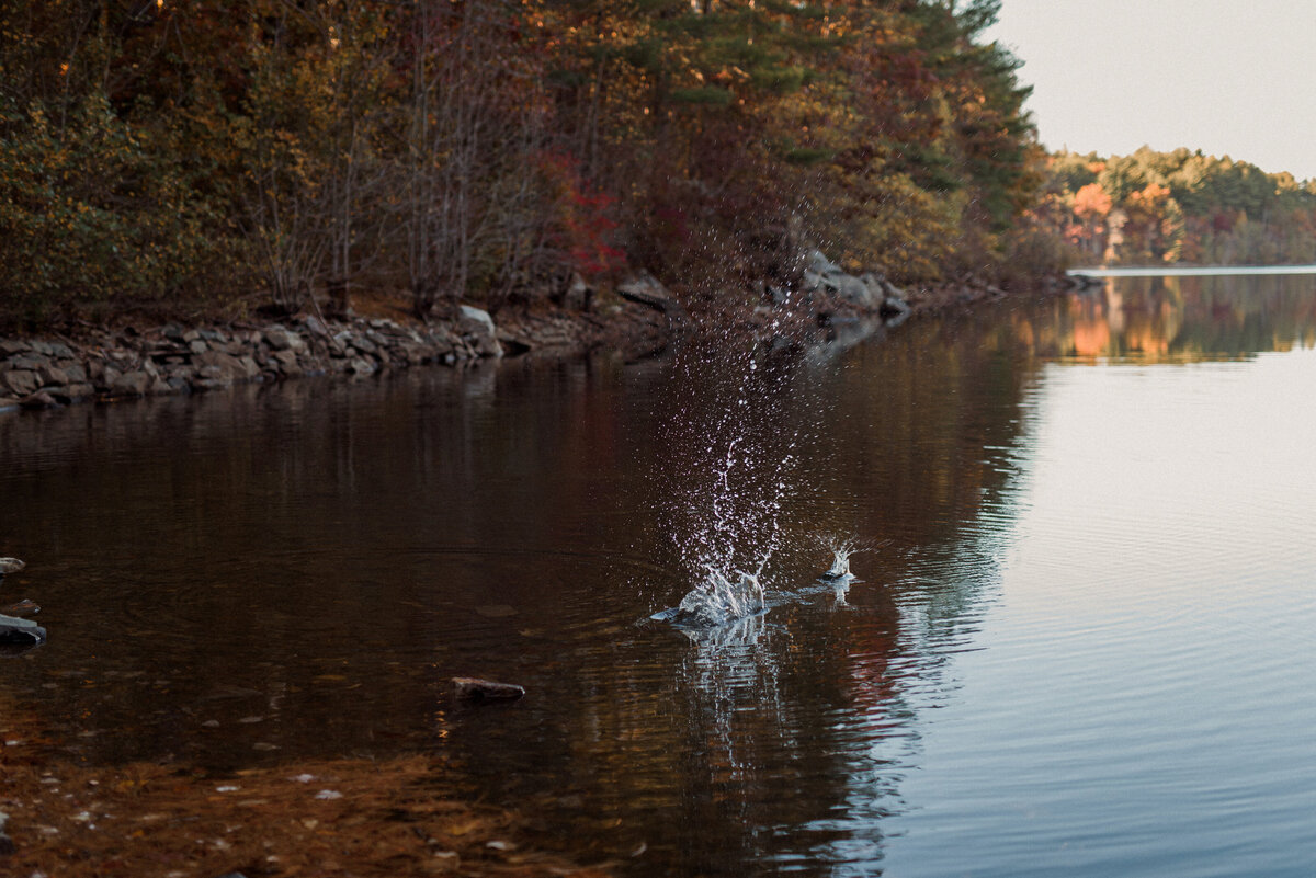 boston-engagement-photographers-boston-park-forest-gay-lgbtq-engagement