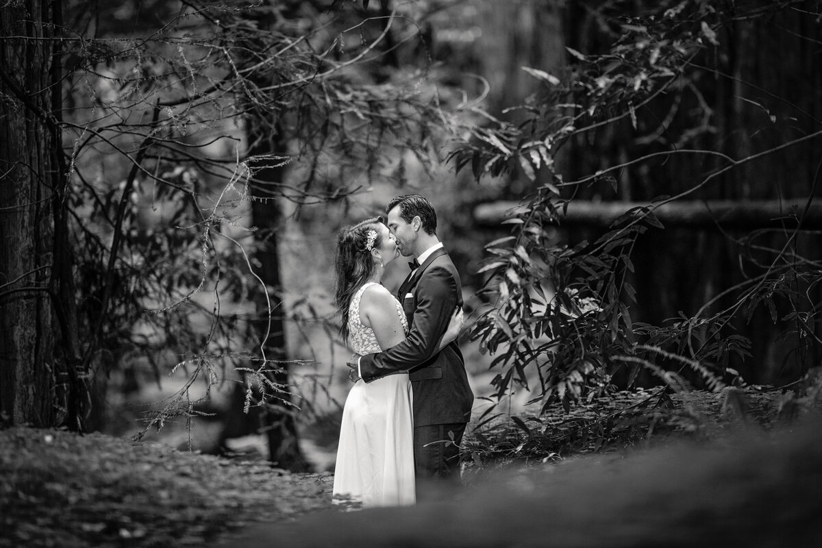 Avenue-of-the-Giants-Redwood-Forest-Elopement-Humboldt-County-Elopement-Photographer-Parky's Pics-3