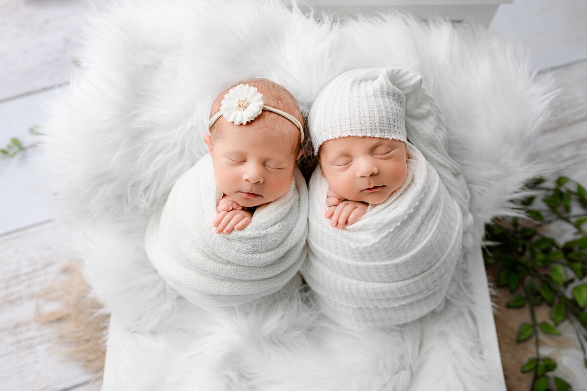 twin charlotte newborns posed together on a bed wrapped in white