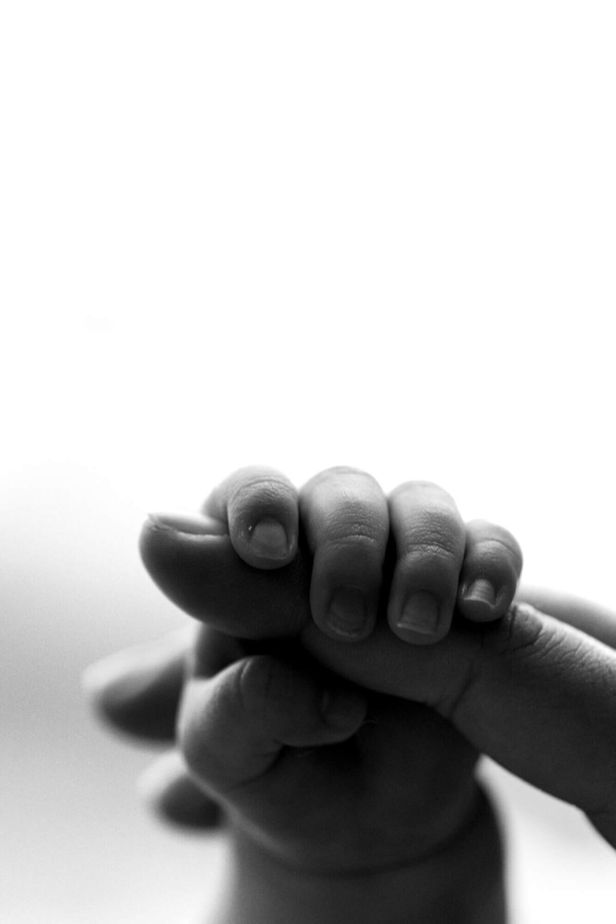 Black and white photo of a baby's fingers wrapped around her mother's finger.