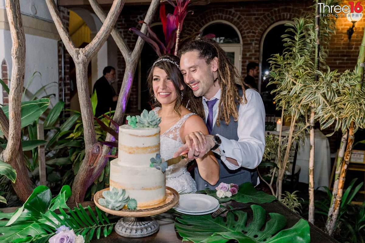 Bride and Groom slice into 2-tiered naked wedding cake