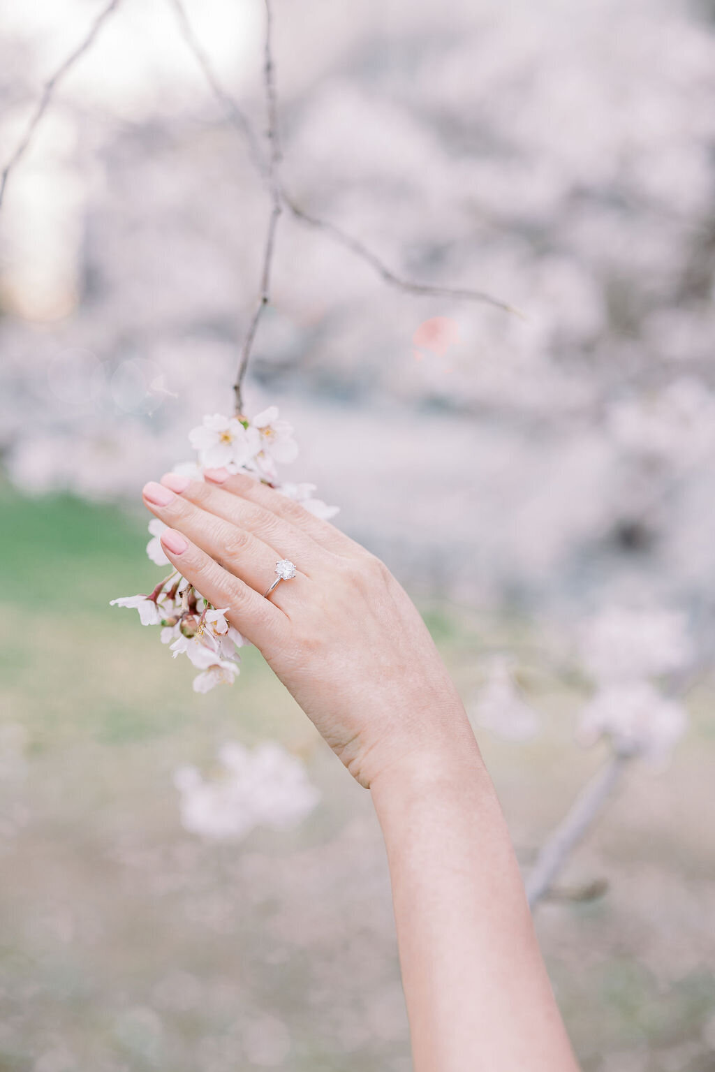 Central Park Cherry Blossom Engagement session 0525