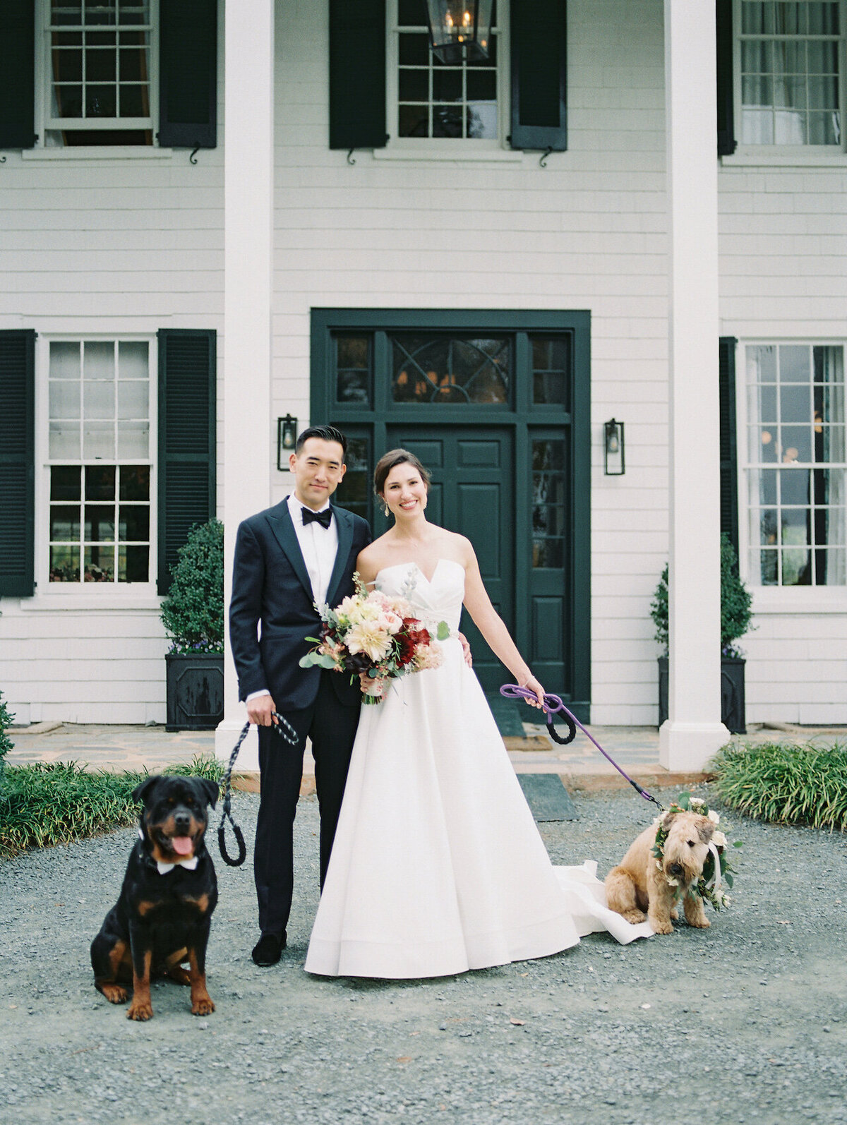 Bride and Groom Portraits with Dogs Robert Aveau for © Bonnie Sen Photography