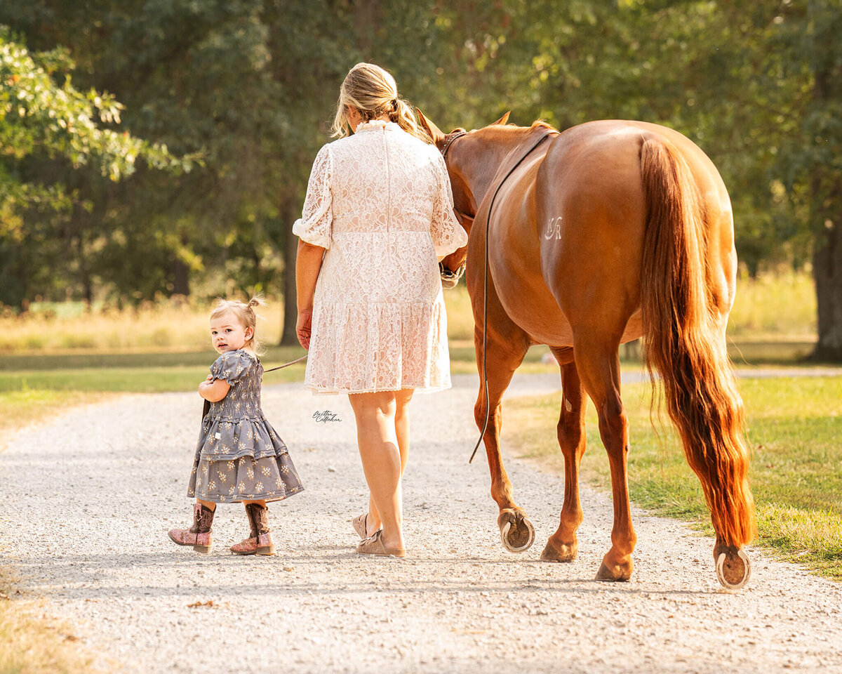 Southern-illinois-horse-photographer-#55