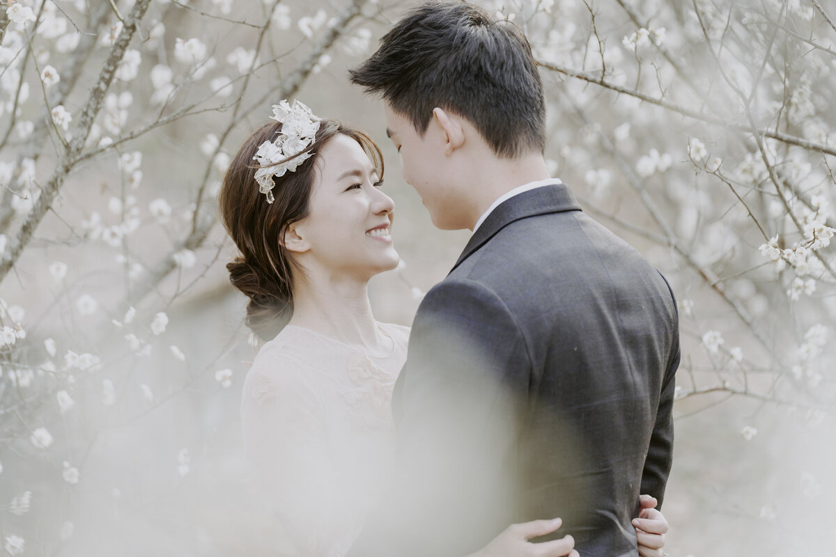 a bride and groom under cherry blossoms in South Korea
