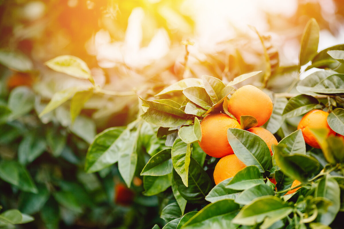 AdobeStock_328454991