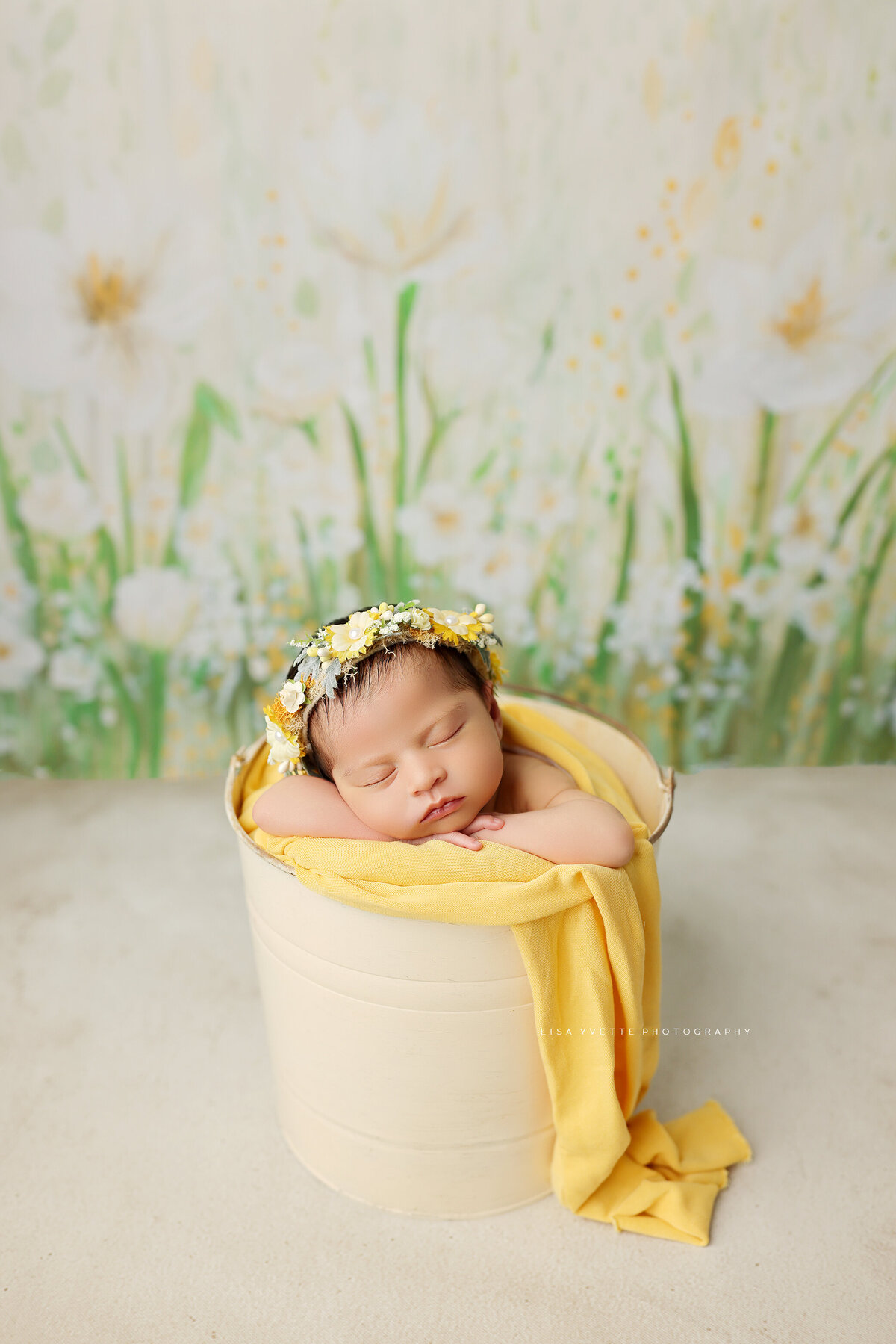 Newborn Yellow Spring