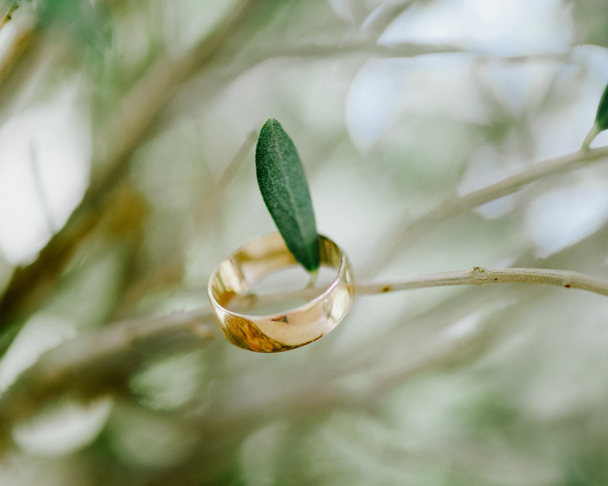 mens wedding ring n an olive tree