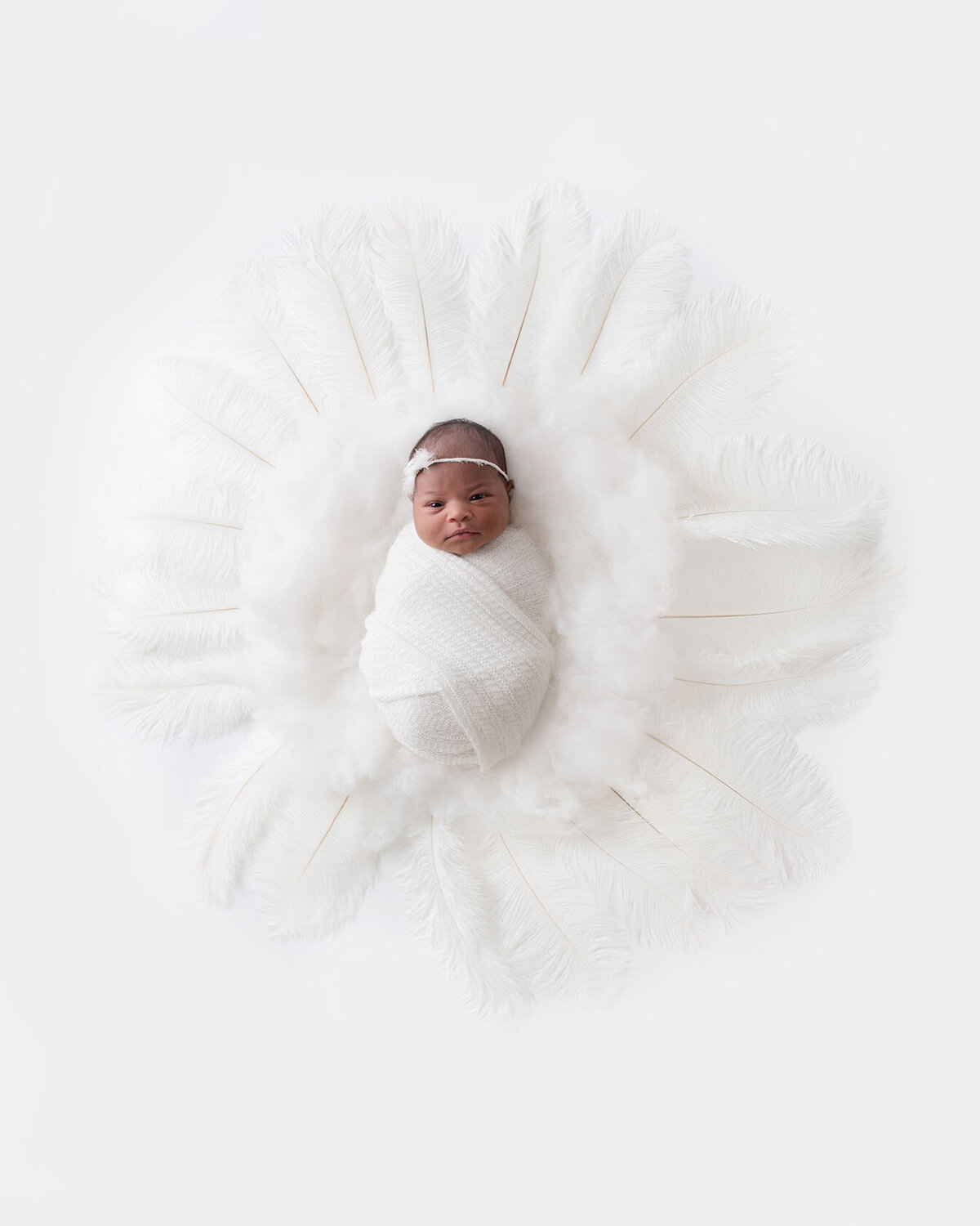 Newborn in white Photo Session in Houston