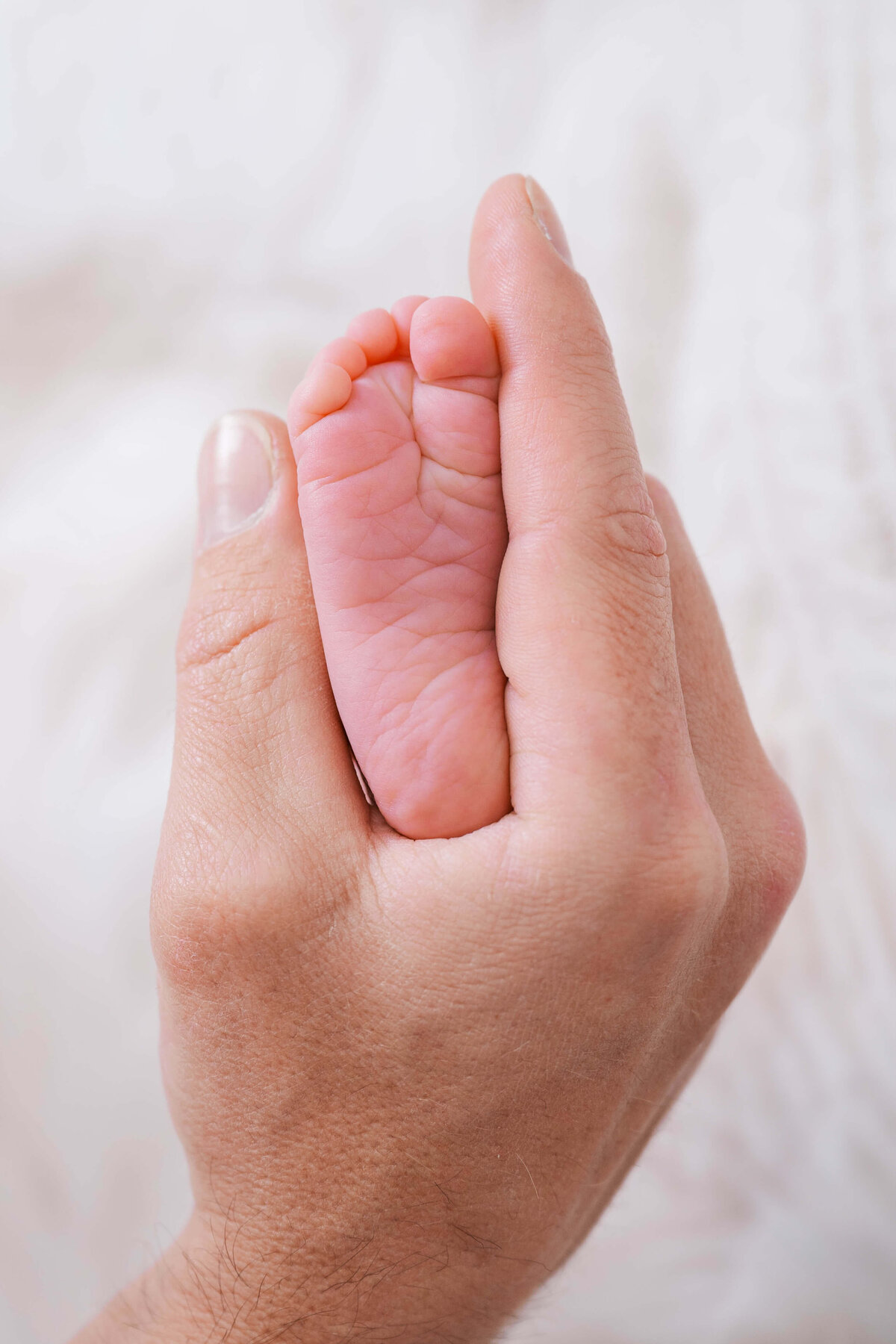 raleigh-newborn-photographer-115