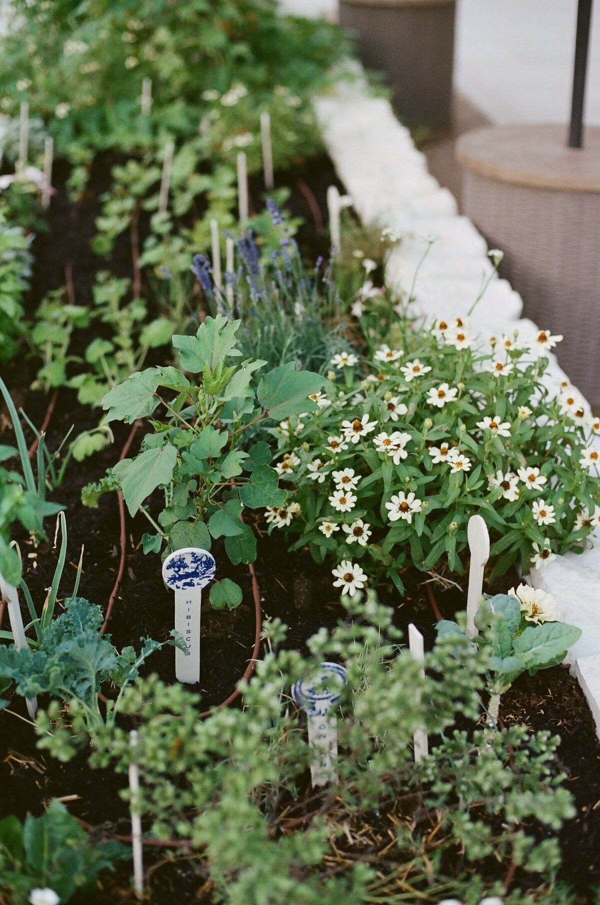 Garden-Beds-Hacienda
