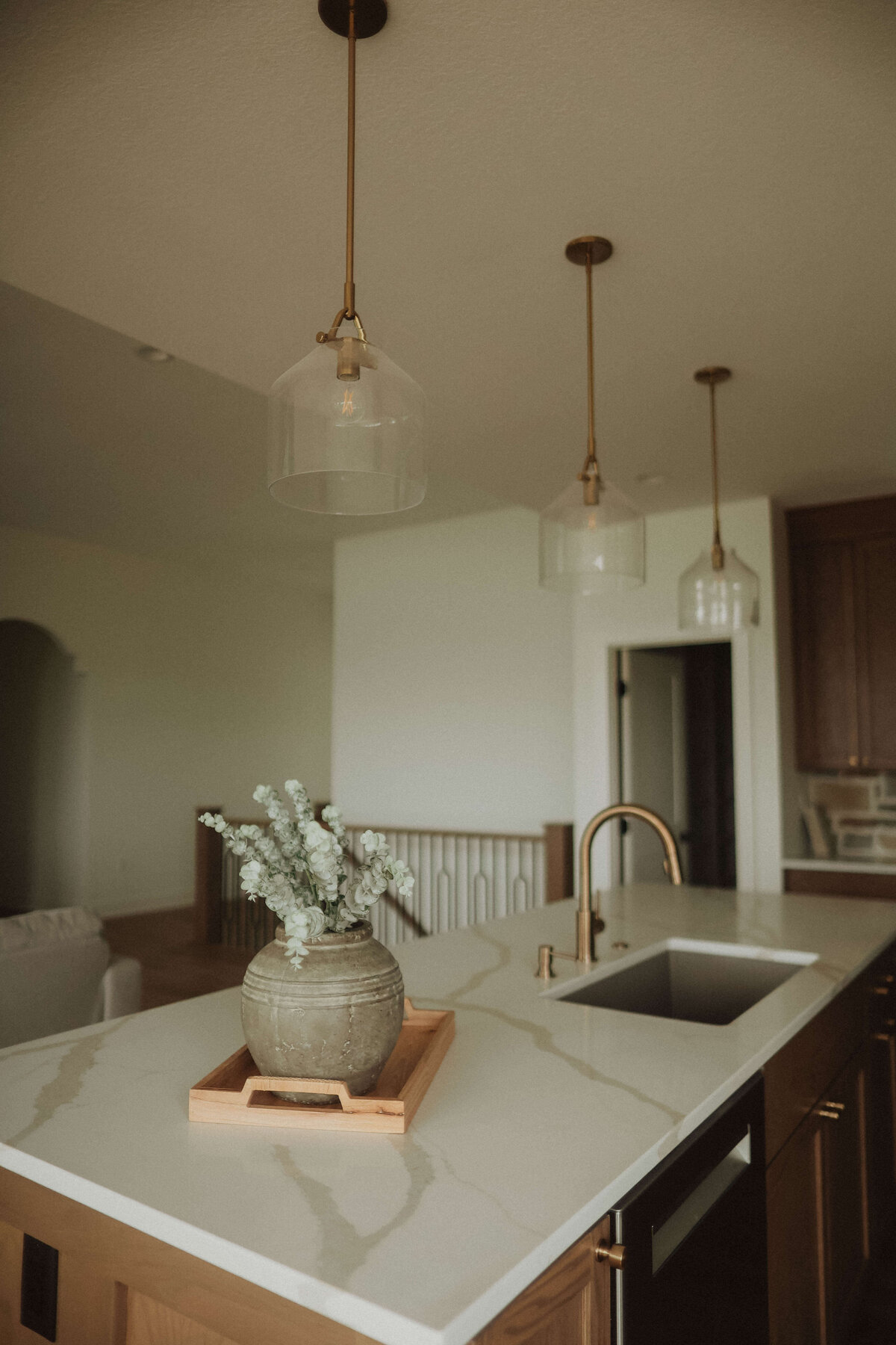 65-Kitchen-Waukee-Central-Iowa-Custom-Home-JRL-Builders-3F1A4816