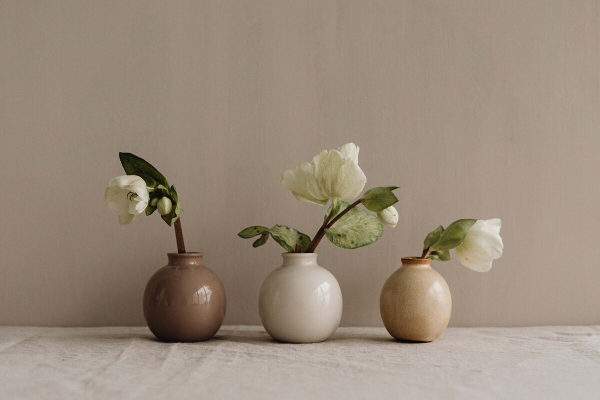 kaboompics_flowers-in-small-ceramic-vases-beige-neutral-aesthetics-30222