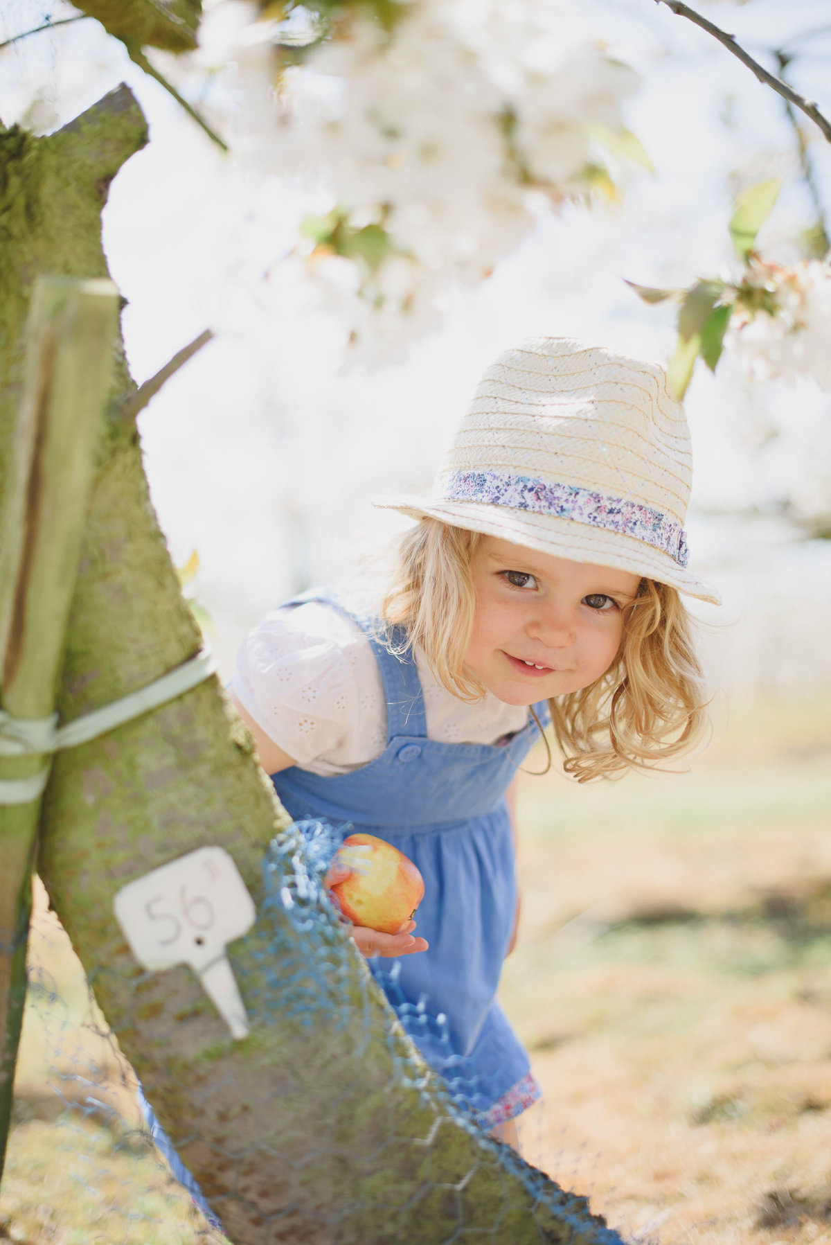 Family photography Cherry Orchard Kent-8