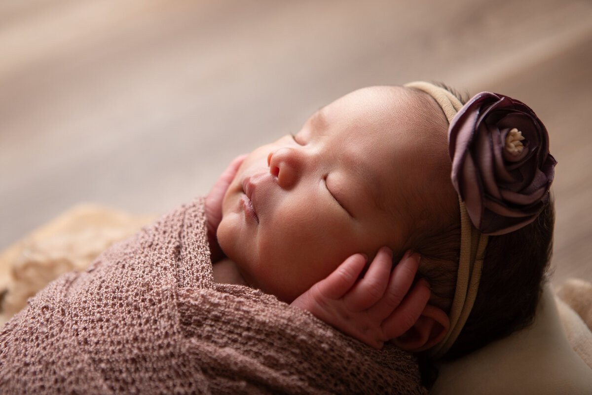 Backlit posed newborn shot in mauve