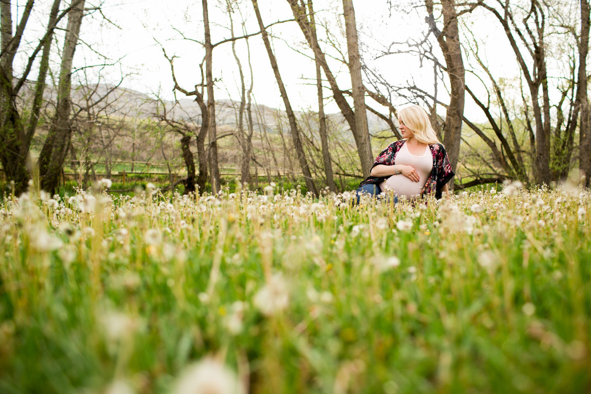 fort-collins-maternity-photography