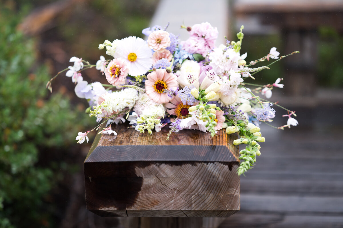North Cascades National Park Elopement Photographer