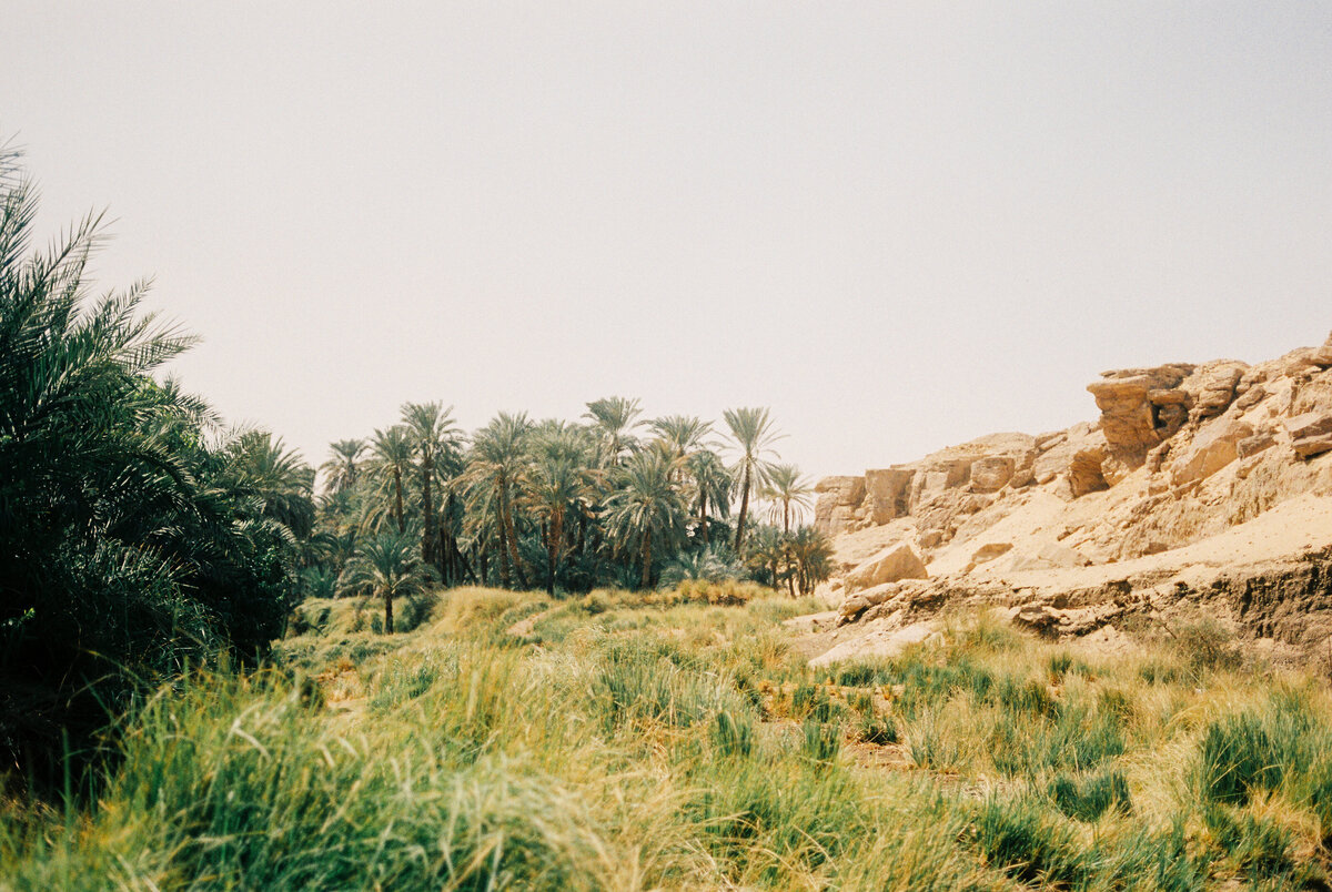 egypt-travel-092