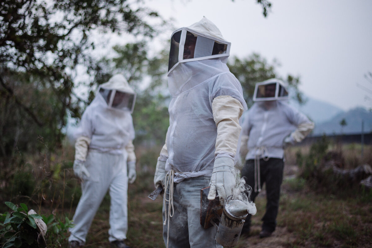 three figures in beekeeping suits