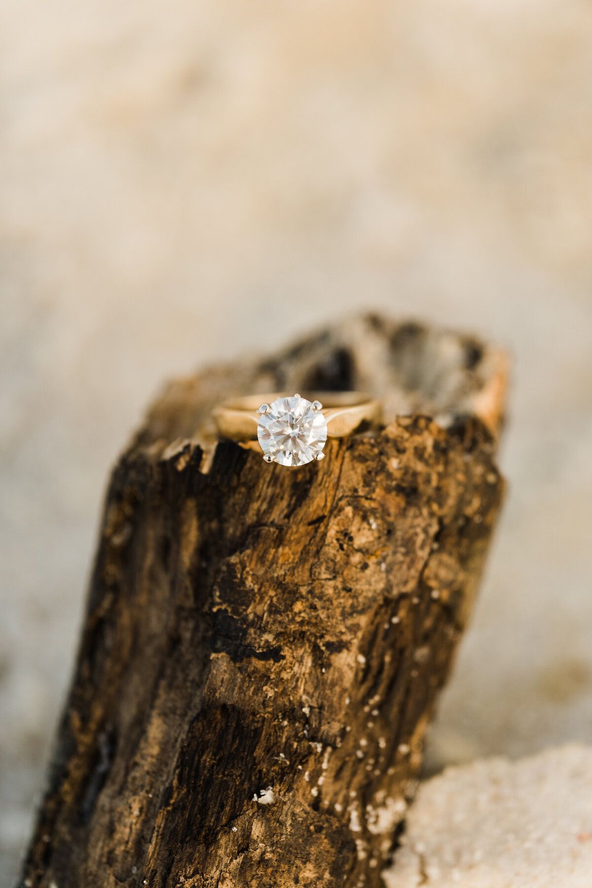 Diamond ring on a branch