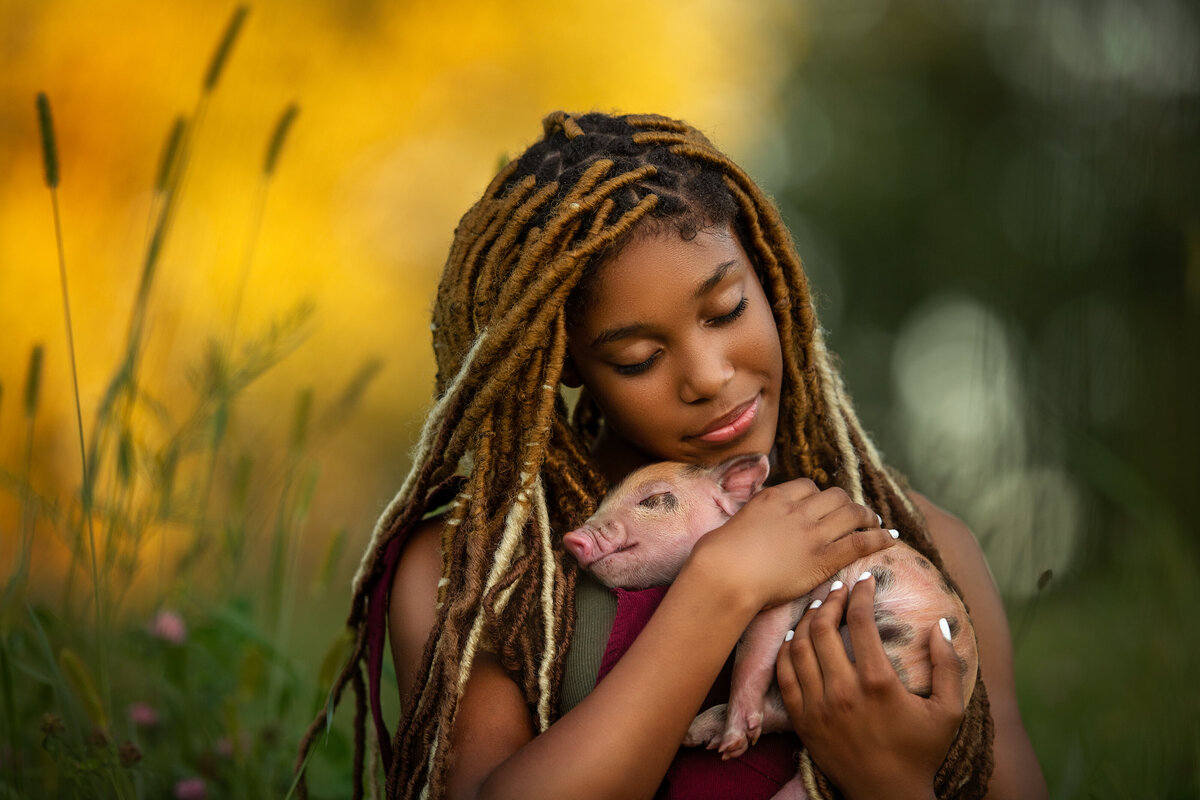 African Amerikan teen with long hair braids is snuggling with little pink piglet during golden hour in the farm.