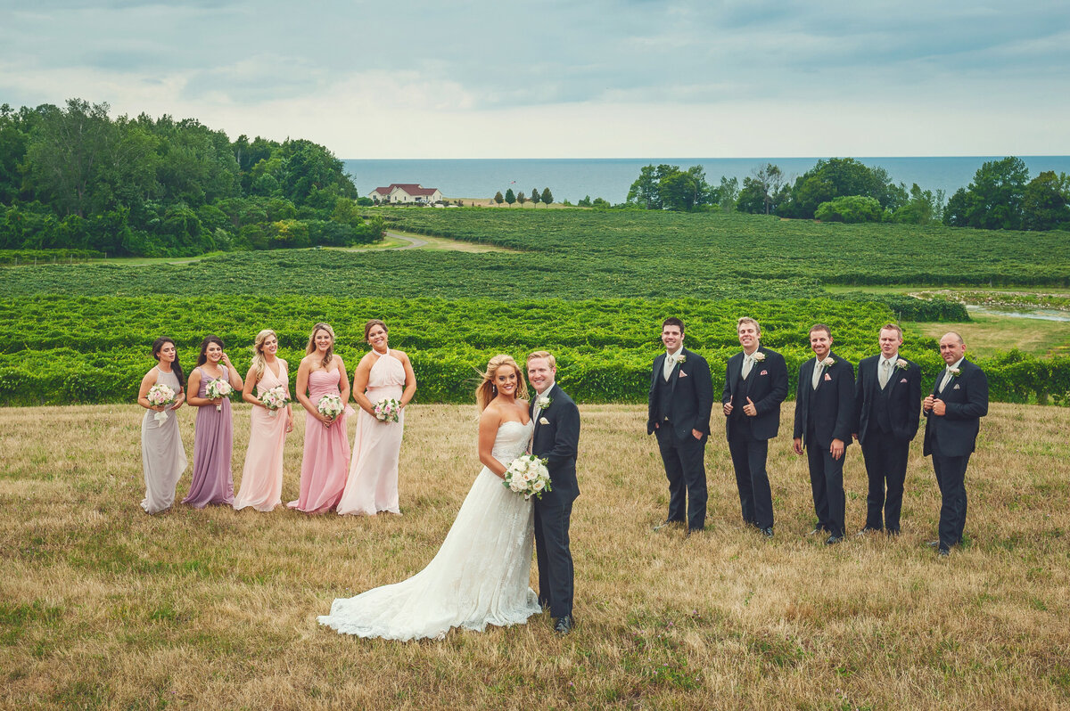 Bridal party by grape field in front of lake Erie.
