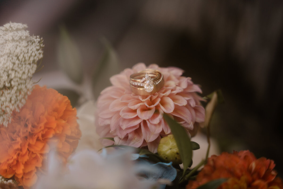 LucciaGracePhotography_CoffeltWedding-68