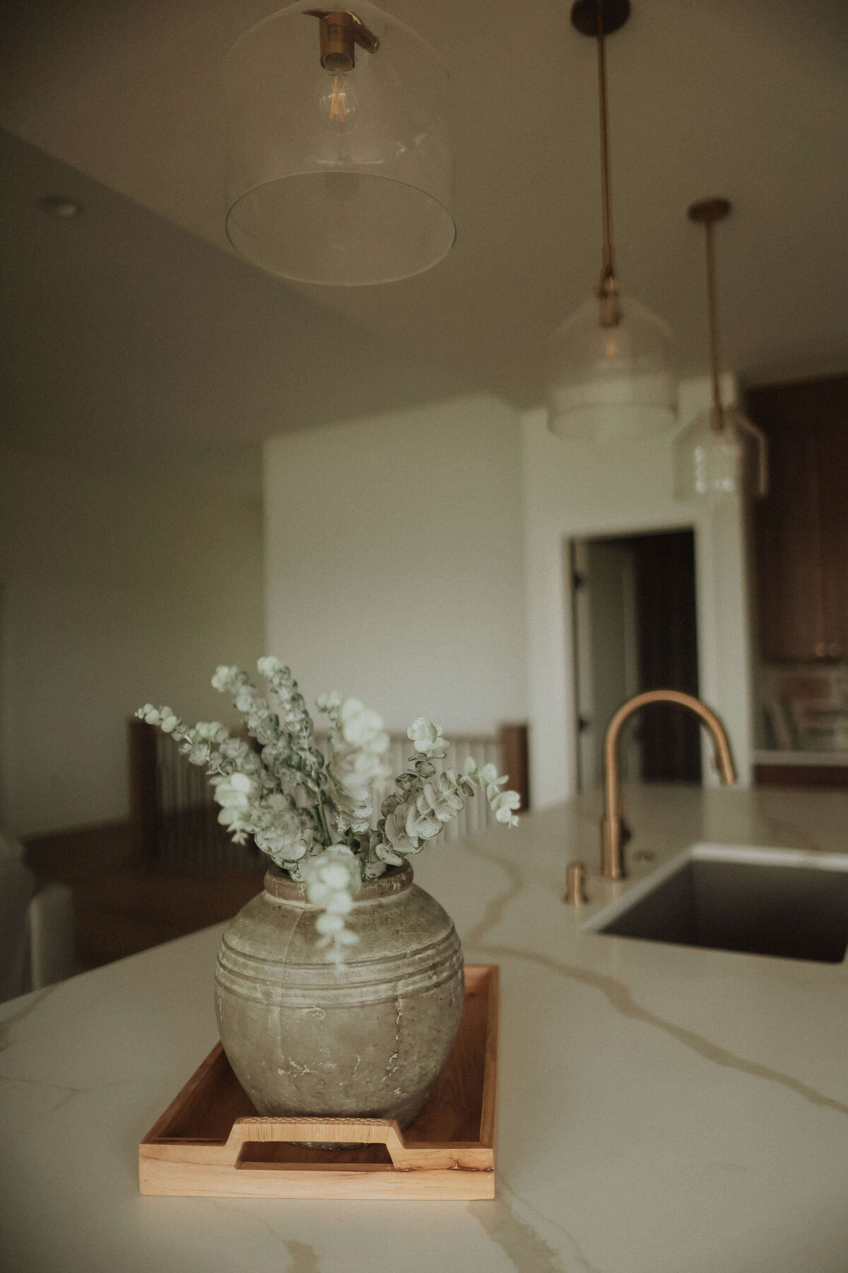 65-Kitchen-Waukee-Central-Iowa-Custom-Home-JRL-Builders-3F1A4819