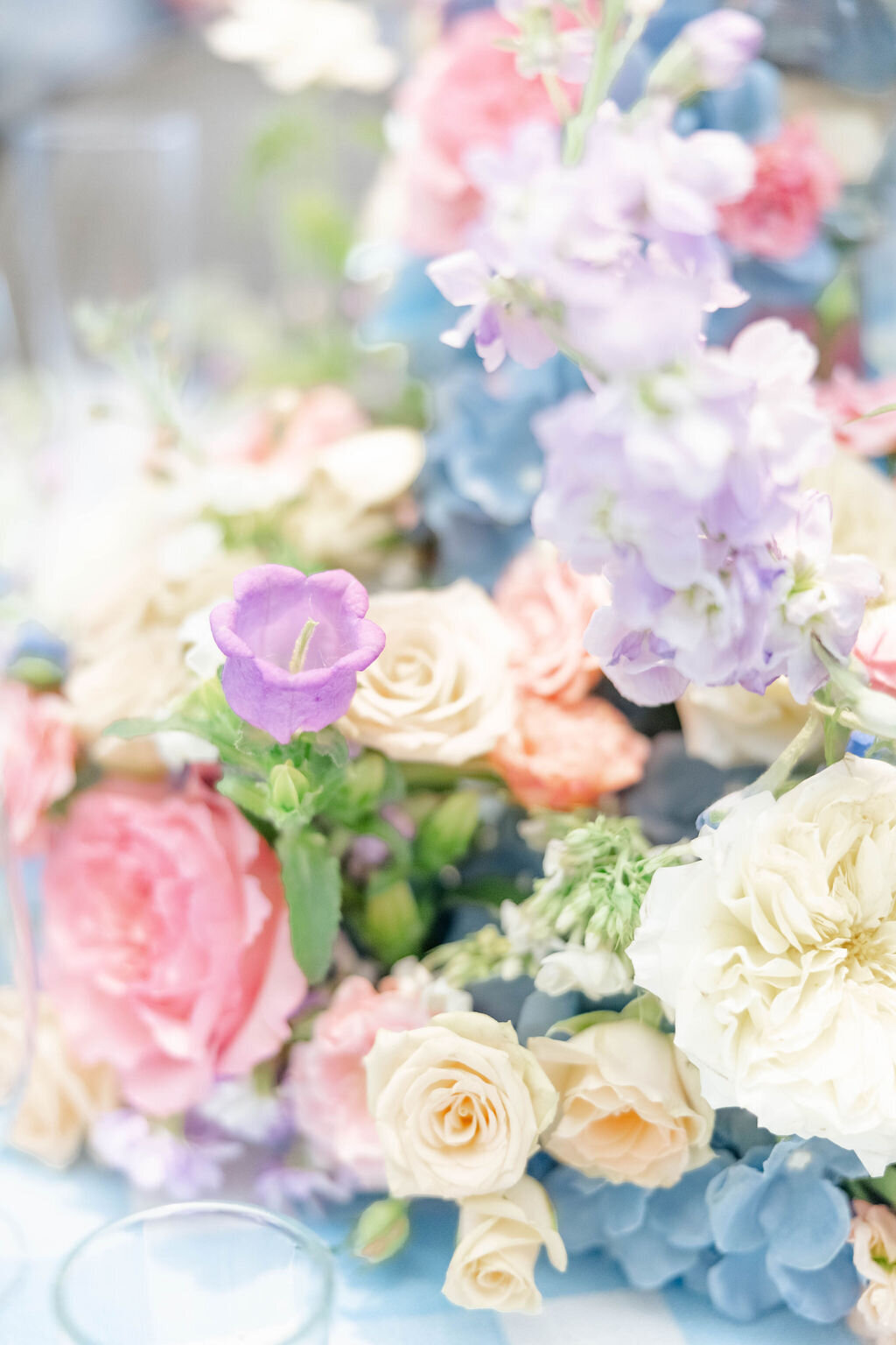 PrimetimeOpenHouseFloralV-50