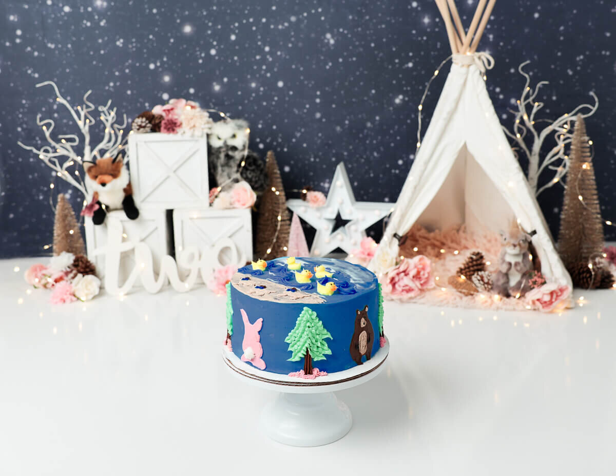 A nature-themed cake smash with a colorful cake amid vibrant outdoor scenery