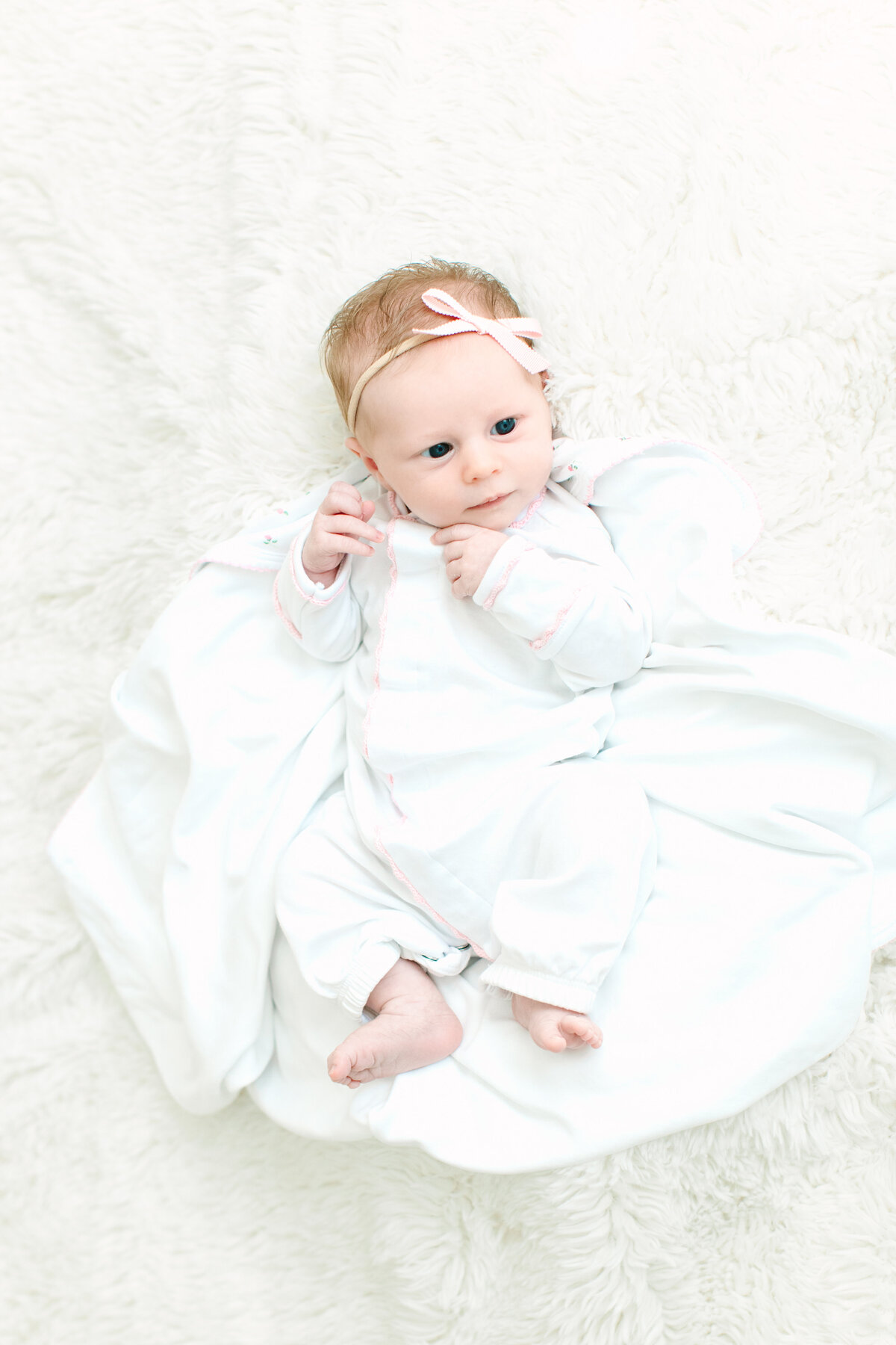 Baby Eloise  Shute Newborn-264