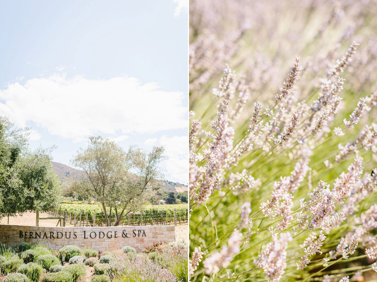 Best California Wedding Photographer-Best Texas Wedding Photographer-Jodee Friday & Co-269