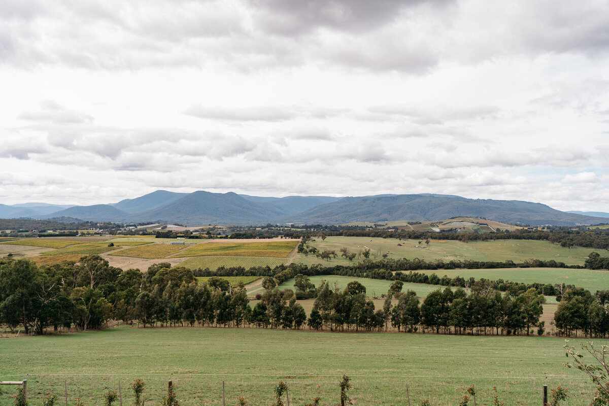 Courtney Laura Photography, Yarra Valley Wedding Photographer, Coombe Yarra Valley, Daniella and Mathias-2
