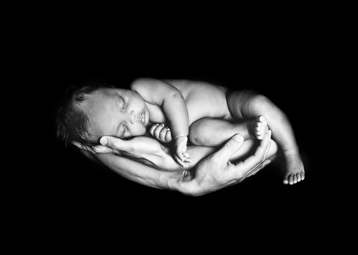 raleigh-newborn-photographer-51