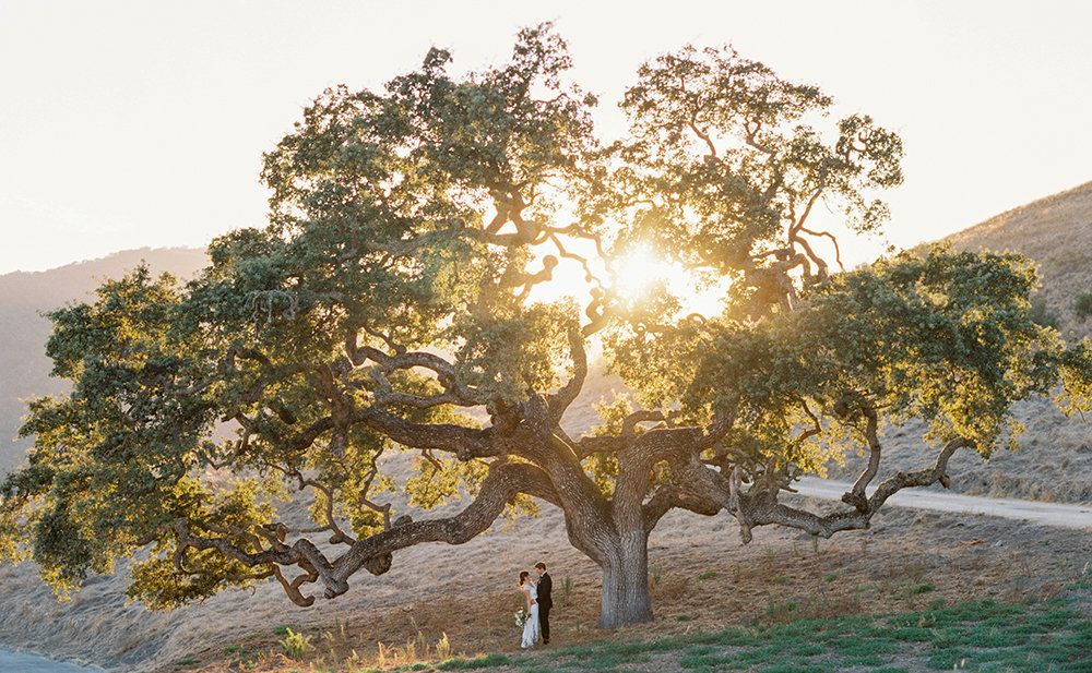 Katie + Jordan Carmel Valley Holman Ranch Wedding Sneak Peeks - Cassie Valente Photography 0010