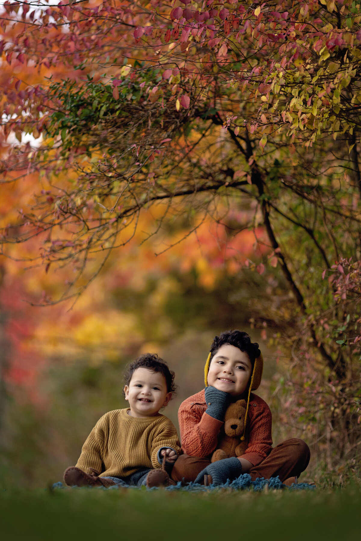 two toddler brothers in sweaters sit on a blanket in a park under a tree smiling