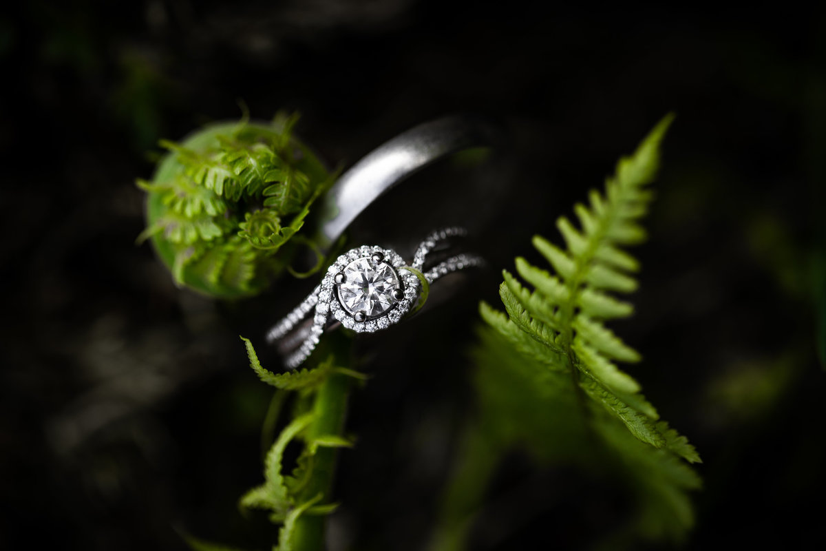 Wedding_Rings_Ferns__Photography_Spring_Styled_Product_Photography_Jena_Carlin_Croi_Midwest_Wedding_ photographer_W
