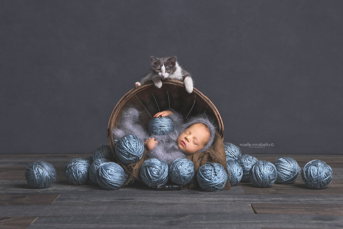 Baby sleeping in basket of blue balls of yarn with a grey and white kitten.
