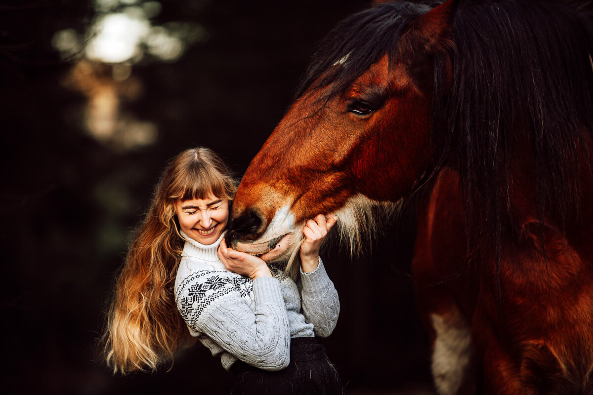 Paarden en honden fotografie Meppel-14