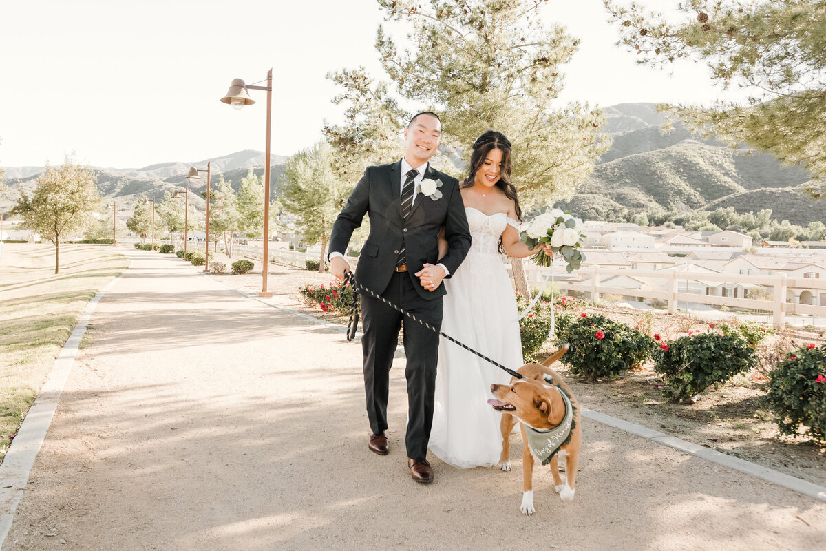 Bride & Groom with their Fur baby and Southern California Rolling Mountains