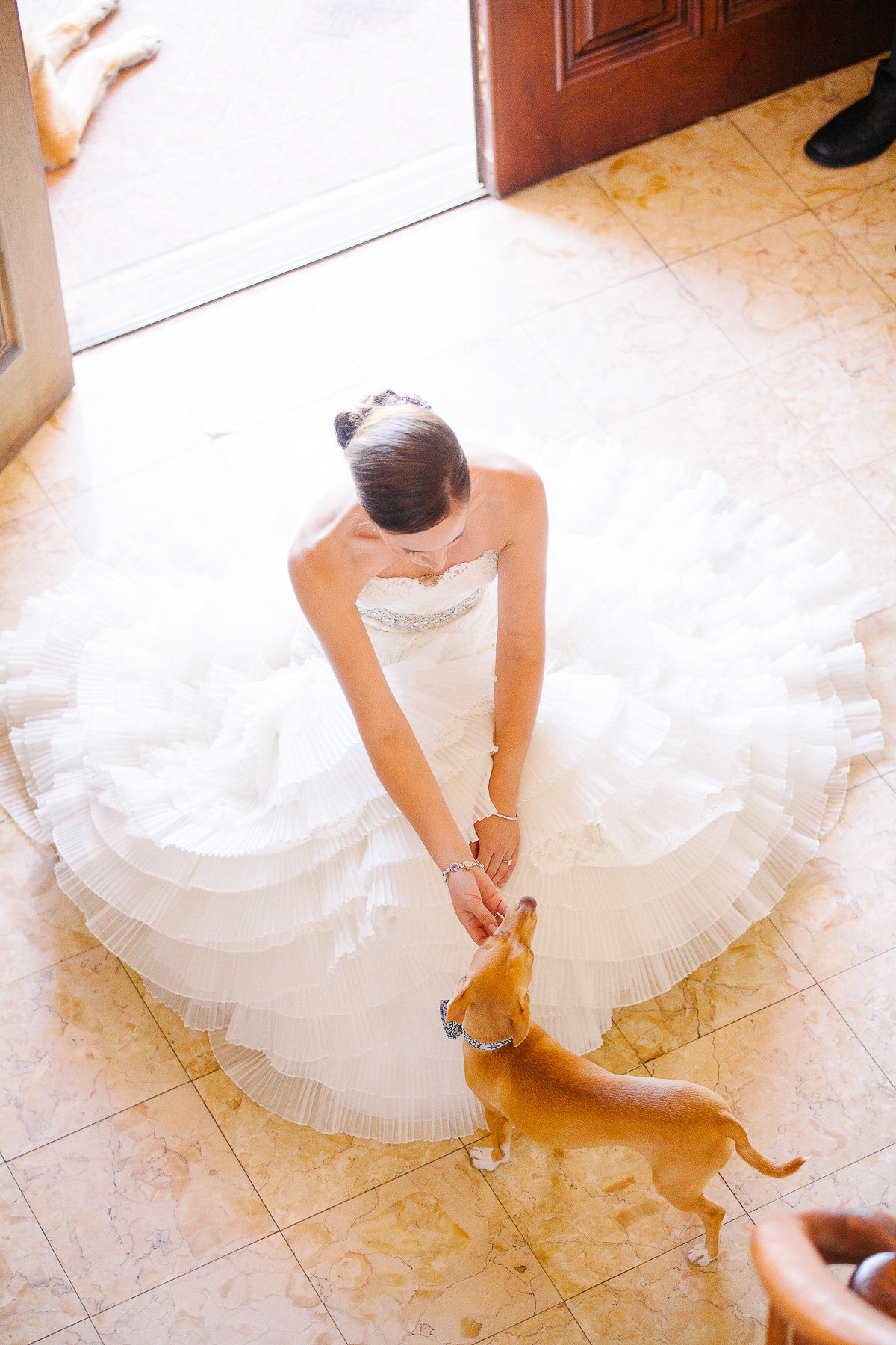 Bride with her dog.